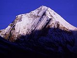203 Dhaulagiri Sunrise From Shepherds Kharka The light at sunrise changed quickly from yellow to bright white on Dhaulagiri from Shepherd�s Kharka (3760m) on the way to Annapurna North Base Camp.